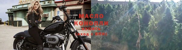 крисы Инсар
