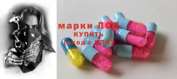 сатива Инта
