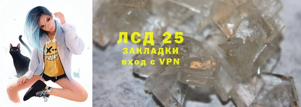 сатива Инта