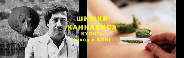 крисы Инсар