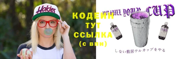 сатива Инта
