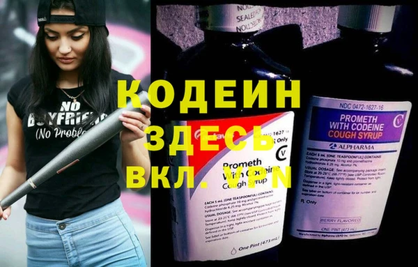 крисы Инсар