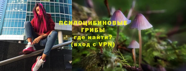 герыч Зеленодольск